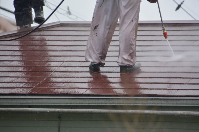 Roof Cleaning