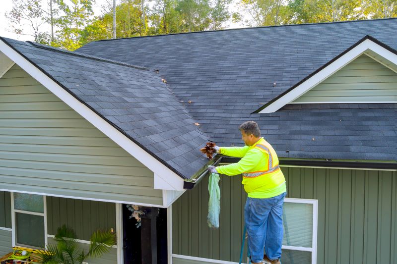 Asphalt Shingles Cleaning