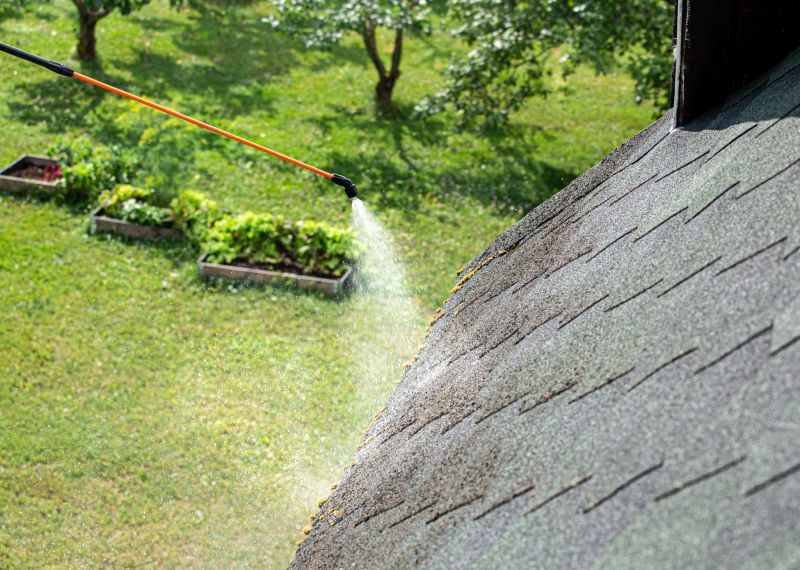 Roof Mildew Removal